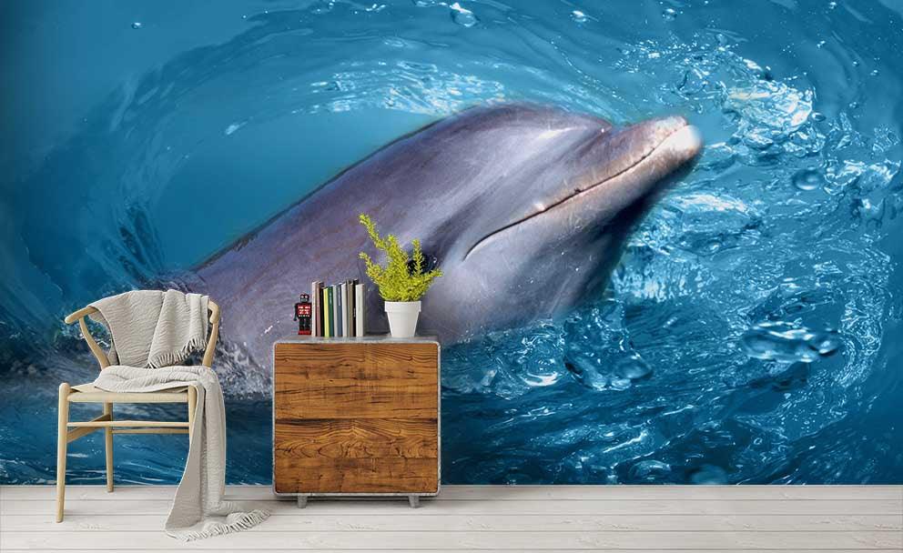 3D Blue Sea Dolphin Wall Mural Wallpaper 148- Jess Art Decoration