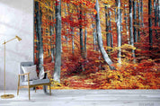 3D Nature Forest Red MapleWall Mural Wallpaper SWW441- Jess Art Decoration
