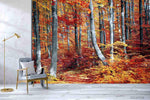 3D Nature Forest Red MapleWall Mural Wallpaper SWW441- Jess Art Decoration