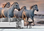 3D white horses camargue france wall mural wallpaper 69- Jess Art Decoration