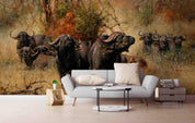 3D African Steppe Buffalo Wall Mural Wallpaper 09- Jess Art Decoration