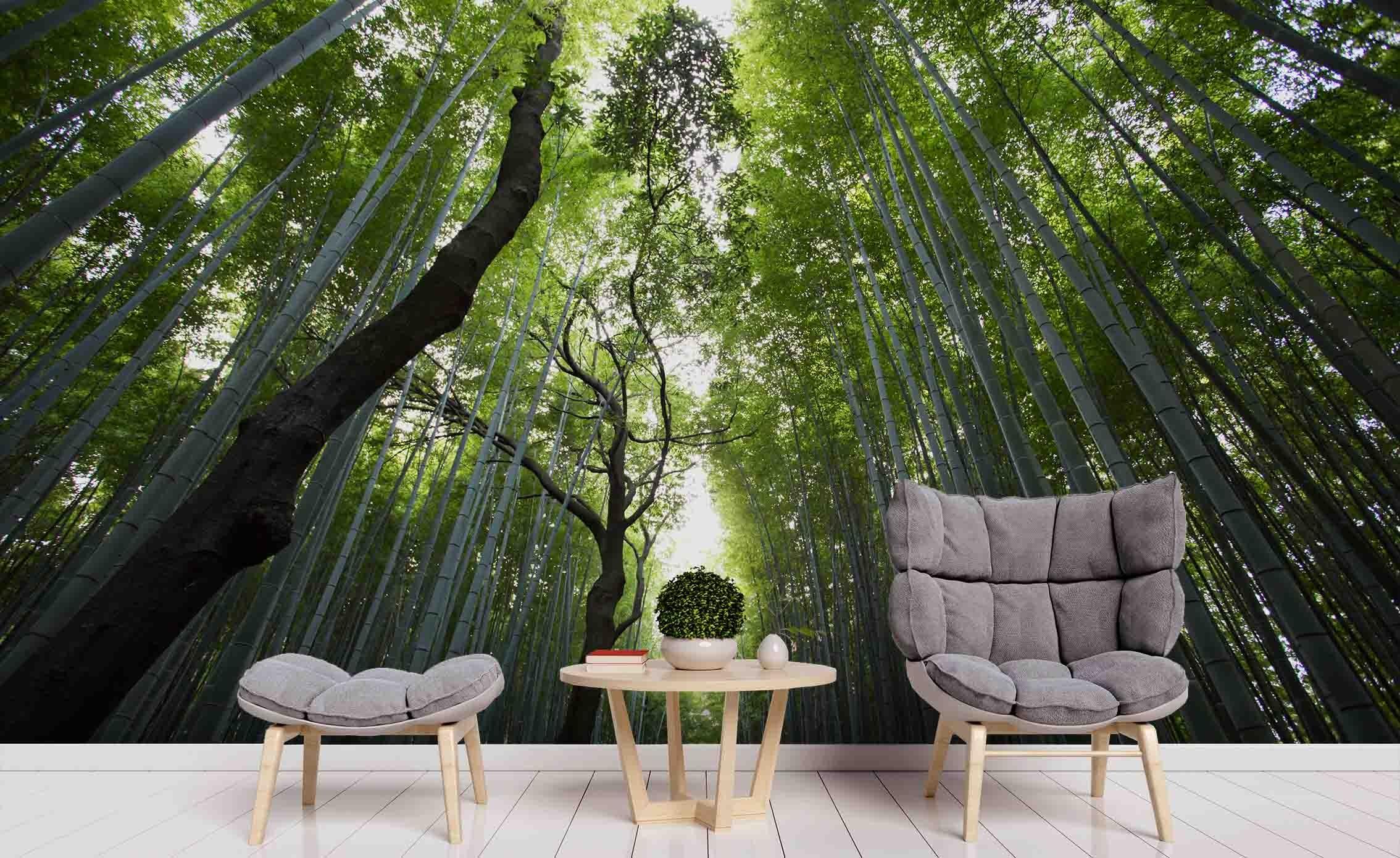3D Bamboo Forest Wall Mural Wallpa 70- Jess Art Decoration