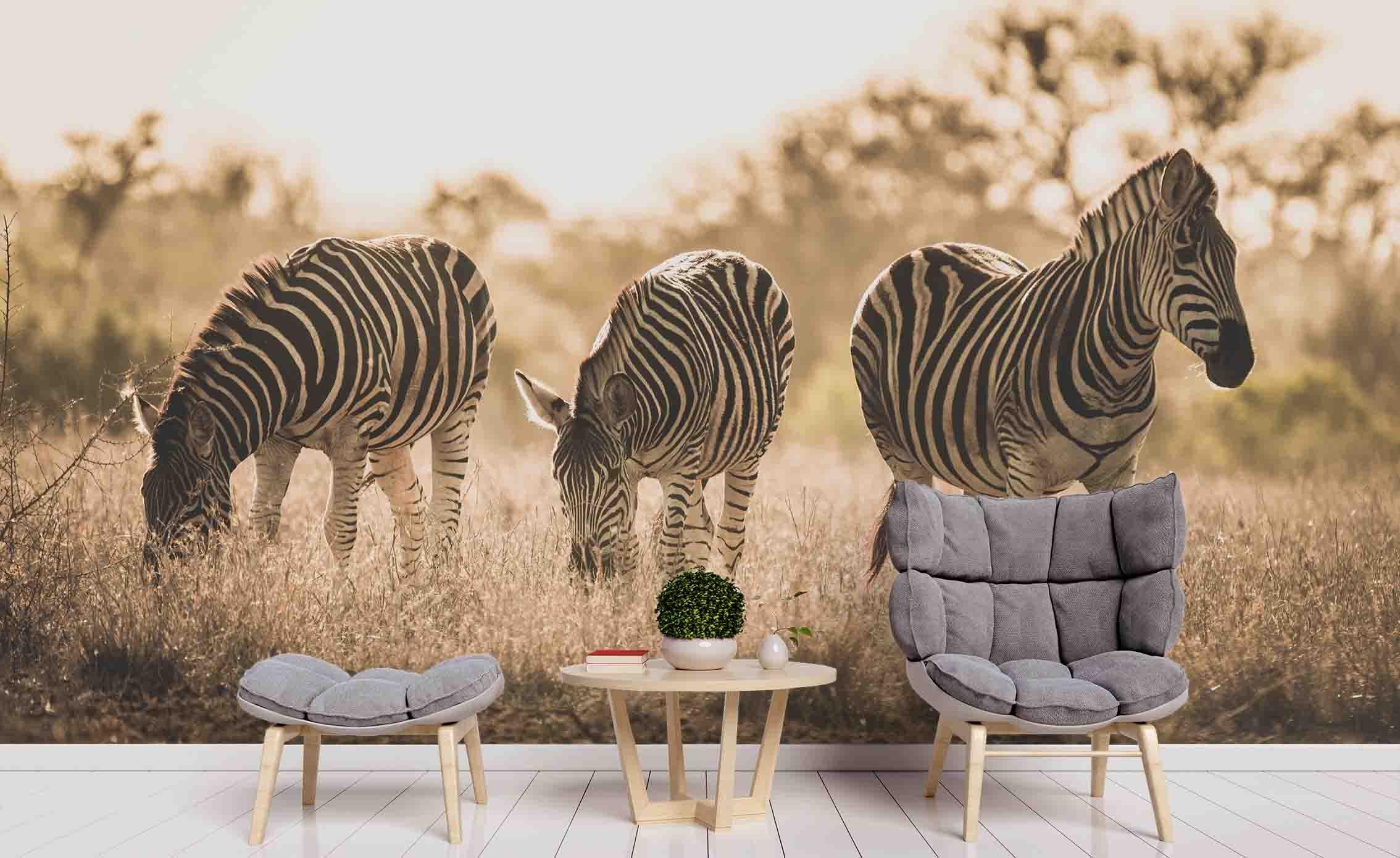 3D Animal Wild Zebra Wall Mural Wallpaper 60 LQH- Jess Art Decoration
