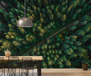 3D Aerial View Green Forest Road Scenery Wall Mural Wallpaper GD 566- Jess Art Decoration