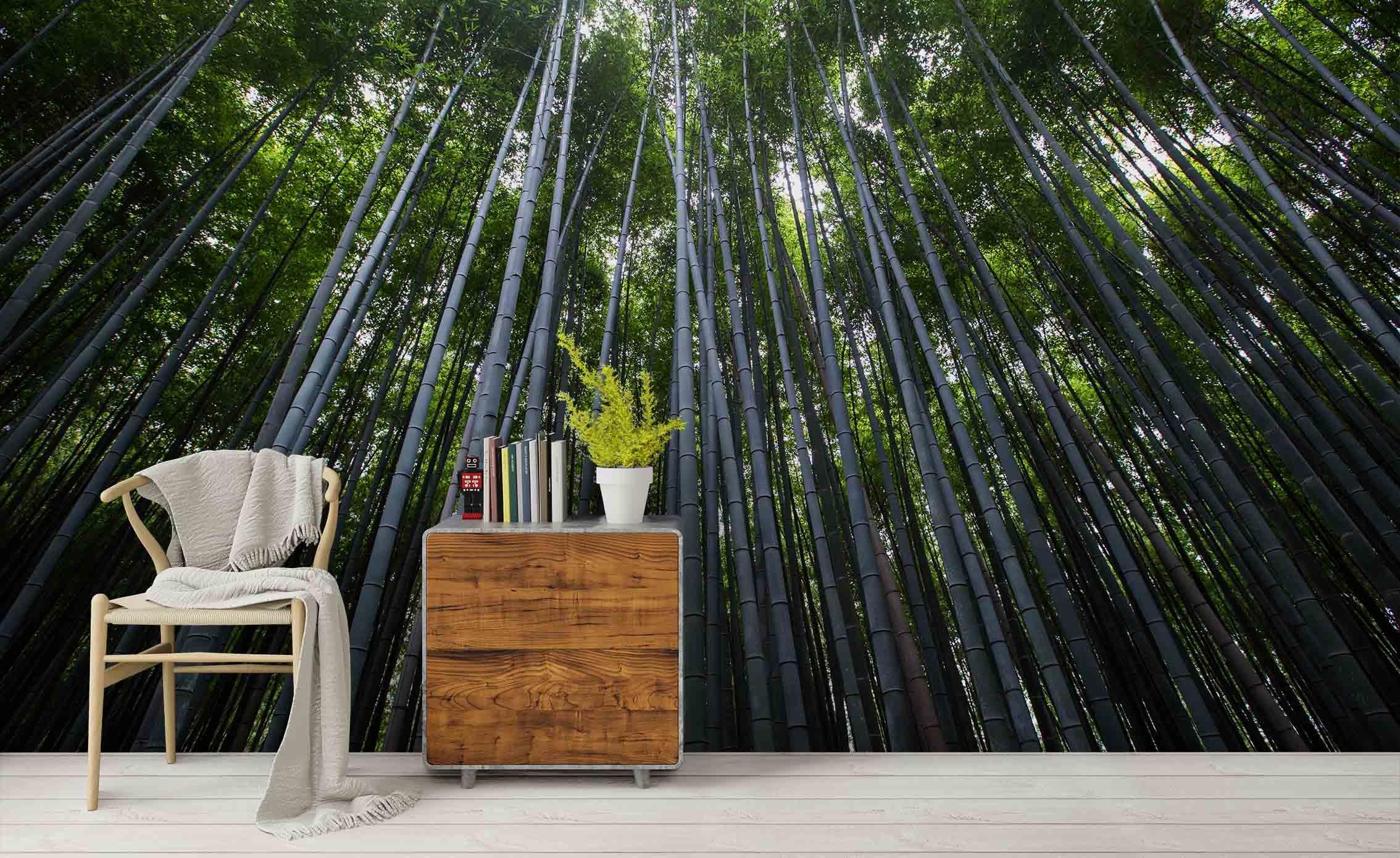 3D Bamboo Forest Wall Mural Wallpa 145- Jess Art Decoration