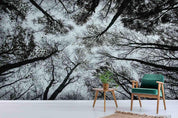 3D Sky Tree Forest Wall Mural Wallpaper LQH 82- Jess Art Decoration