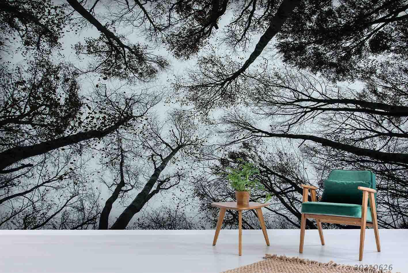 3D Sky Tree Forest Wall Mural Wallpaper LQH 82- Jess Art Decoration