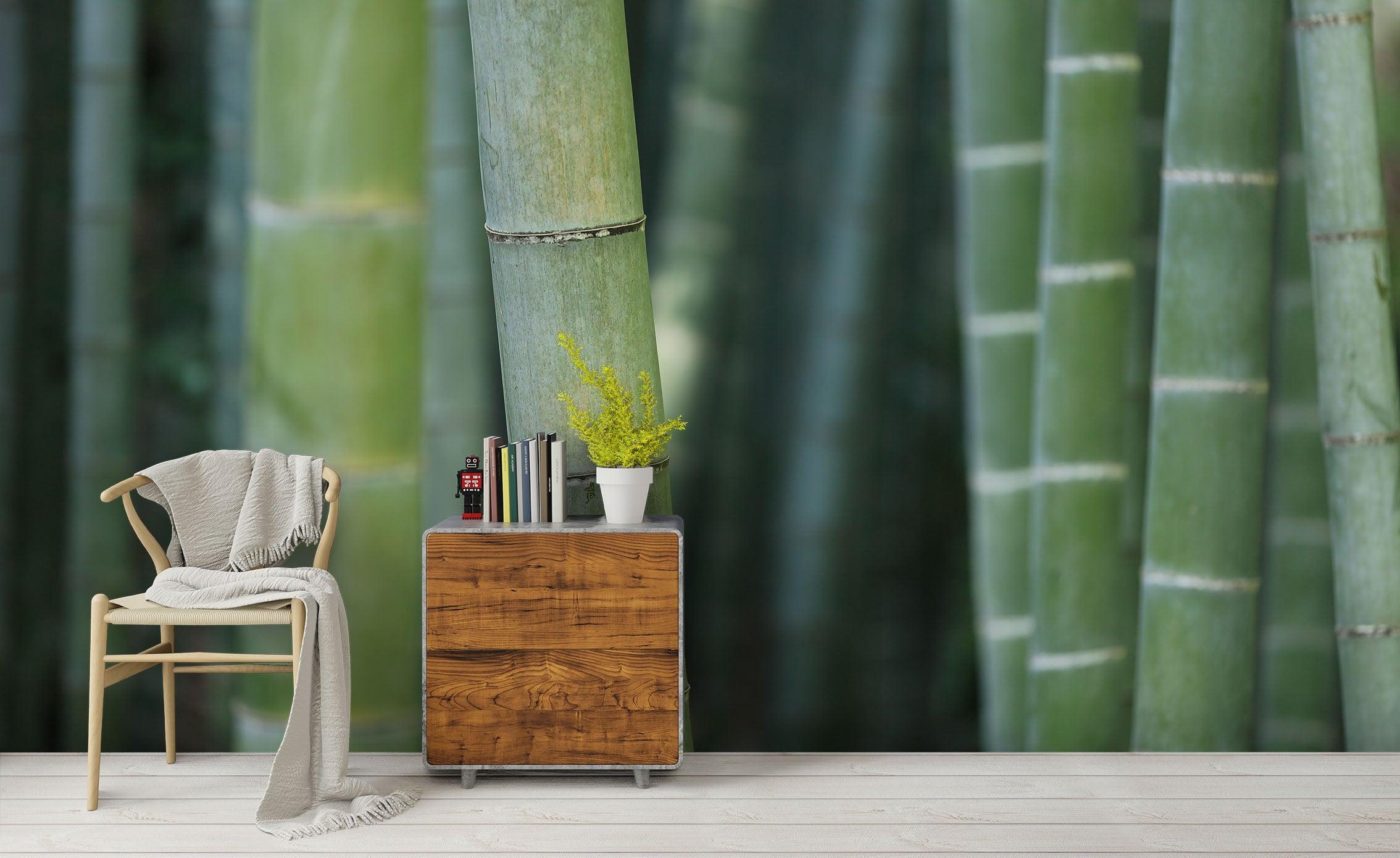 3D Bamboo Forest Wall Mural Wallpa 137- Jess Art Decoration