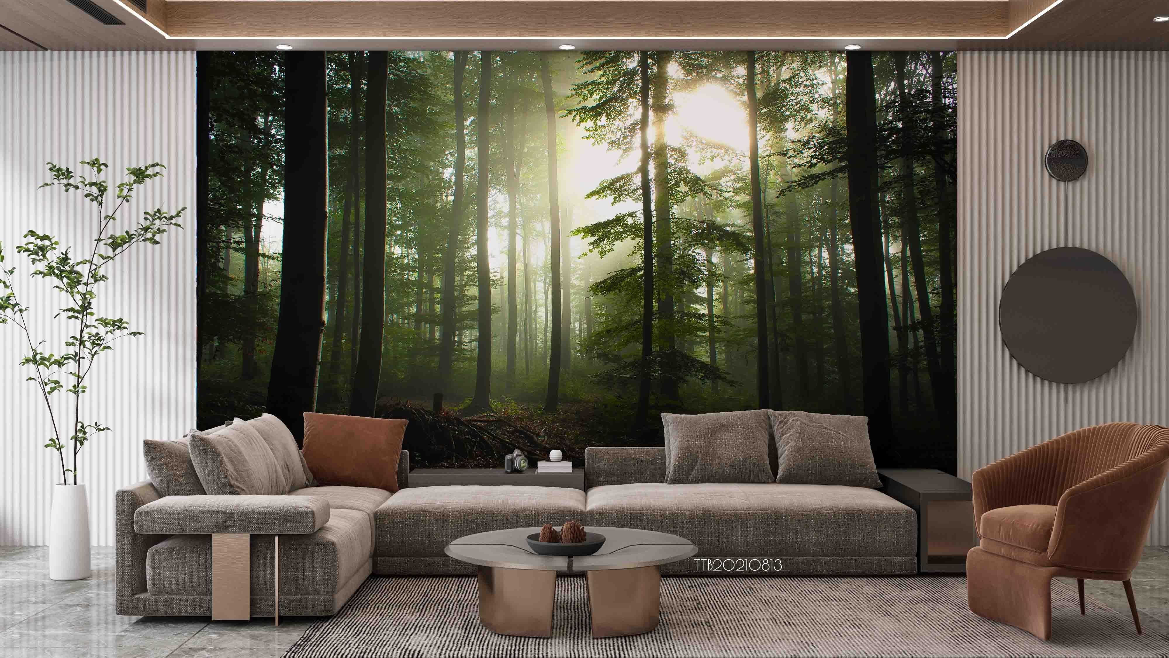 3D Pine Forest Sunshine Wall Mural WallpaperSWW5148- Jess Art Decoration