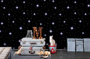 3D Cartoon Black Space Star Wall Mural Wallpaper LQH 70- Jess Art Decoration