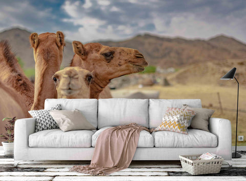 3D Camel Sky Mountain Wall Mural Wallpaper 24- Jess Art Decoration