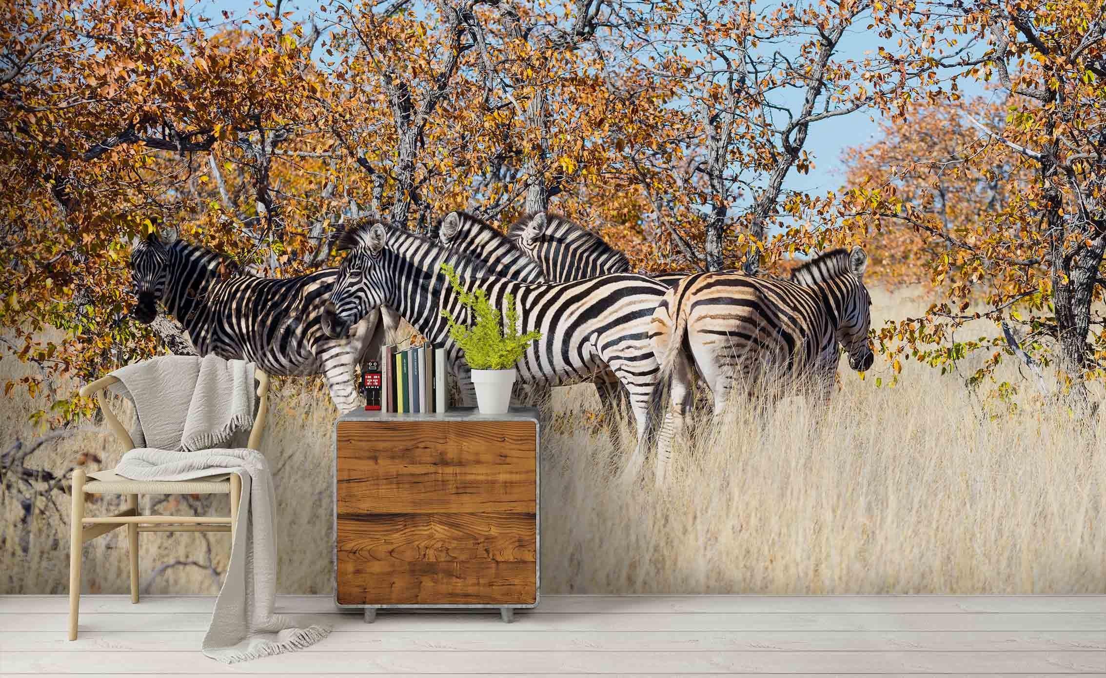 3D Animal Wild Zebra Woods Wall Mural Wallpaper 61 LQH- Jess Art Decoration