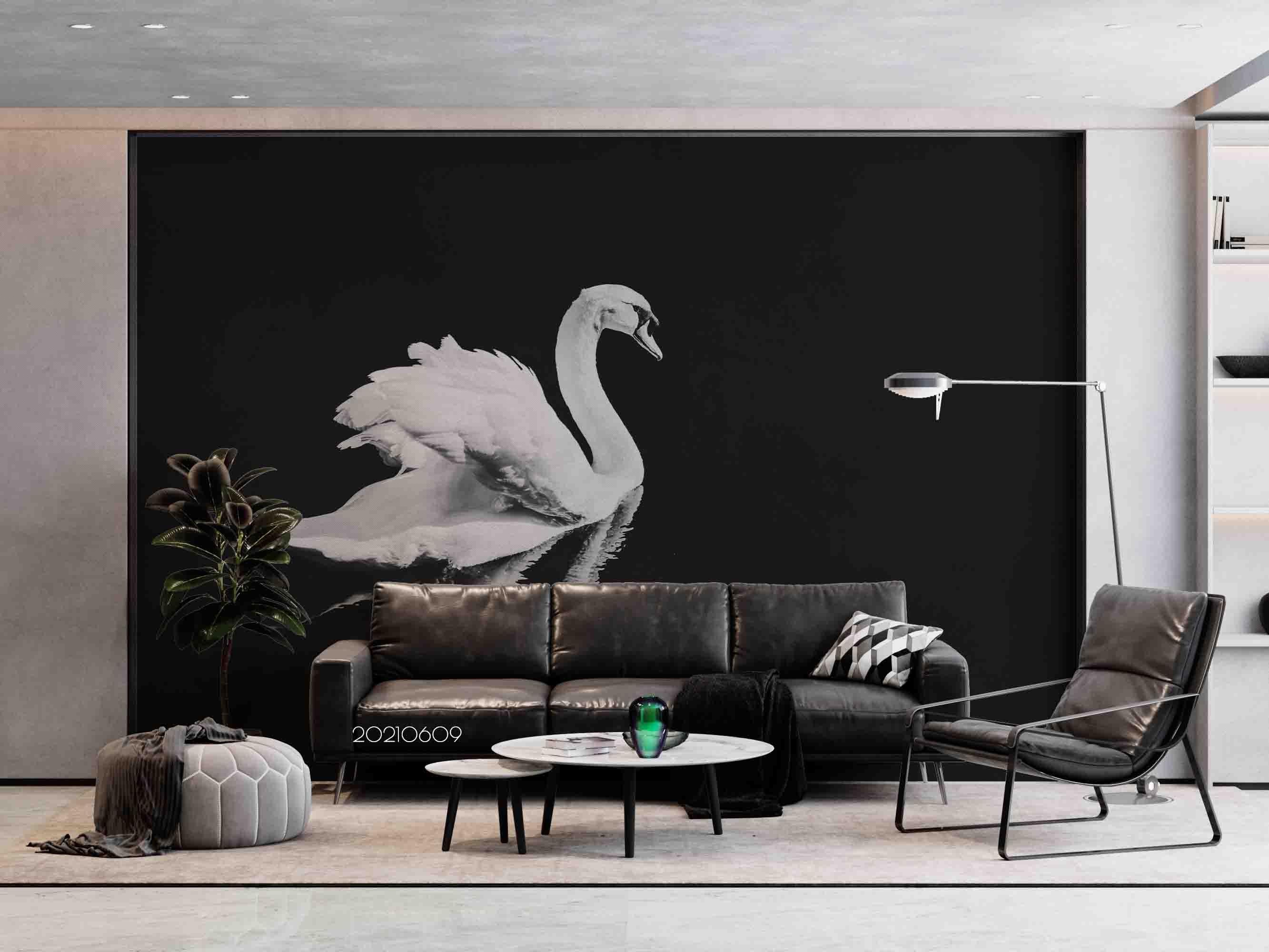 3D White Swan Black Background Wall Mural Wallpaper SWW1667- Jess Art Decoration
