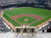 3D New Target Field Wall Mural Wallpaper GD 1544- Jess Art Decoration