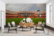 3D Spain Mestalla Stadium Wall Mural Wallpaper GD 77- Jess Art Decoration