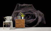 3D Black Rose Wall Mural Wallpaper 4- Jess Art Decoration
