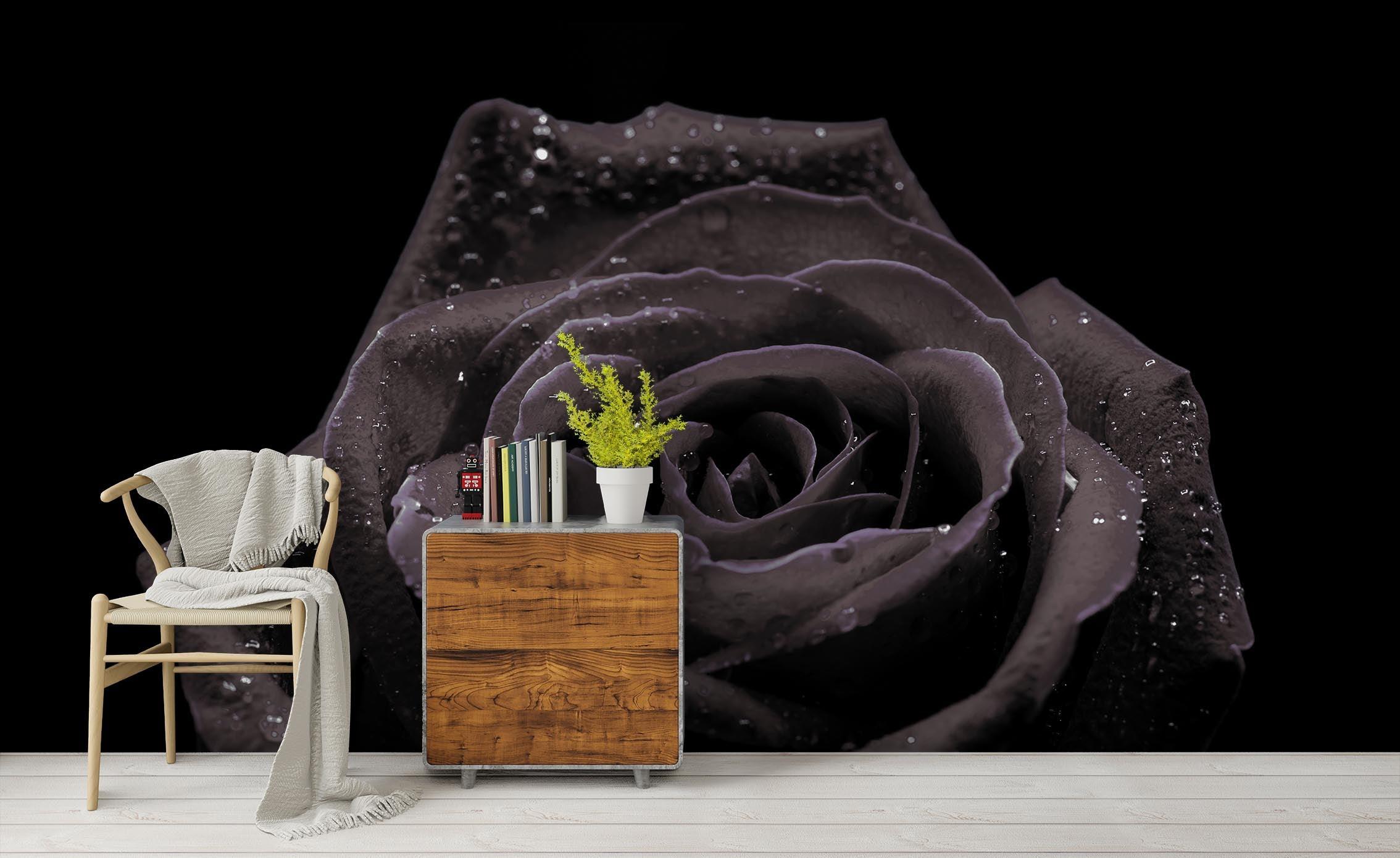 3D Black Rose Wall Mural Wallpaper 4- Jess Art Decoration