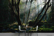 3D Forest Scenery Tree Trunk Sunlight Wall Mural Wallpaper SWW222- Jess Art Decoration