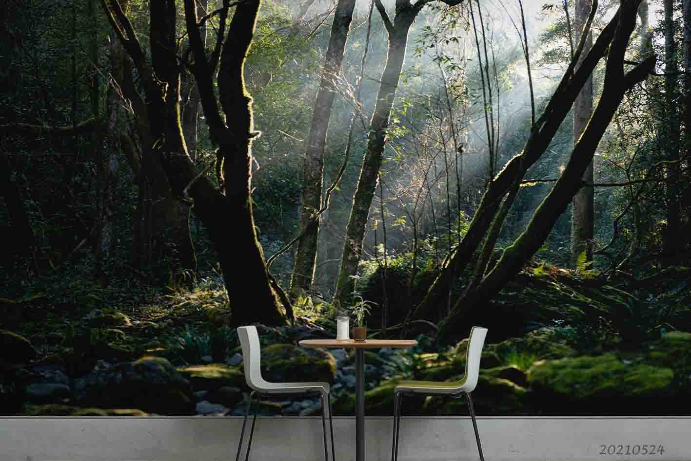 3D Forest Scenery Tree Trunk Sunlight Wall Mural Wallpaper SWW222- Jess Art Decoration