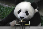 3D Wild Animal Panda Wall Mural Wallpaper LQH 208- Jess Art Decoration