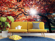 3D Red Maple Woods Park Sunlit Wall Mural Wallpaper SWW2336- Jess Art Decoration
