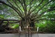 3D Forest Big Tree Green Wall Mural Wallpaper SWW145- Jess Art Decoration