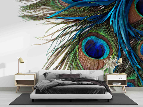 Peacock Feather Wallpaper Mural