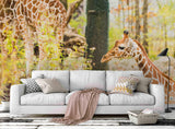 3D giraffe pattern wall mural wallpaper 45- Jess Art Decoration