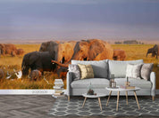 3D  Africa Grassland Elephant Dusk Wall Mural Wallpaper SWW1694- Jess Art Decoration