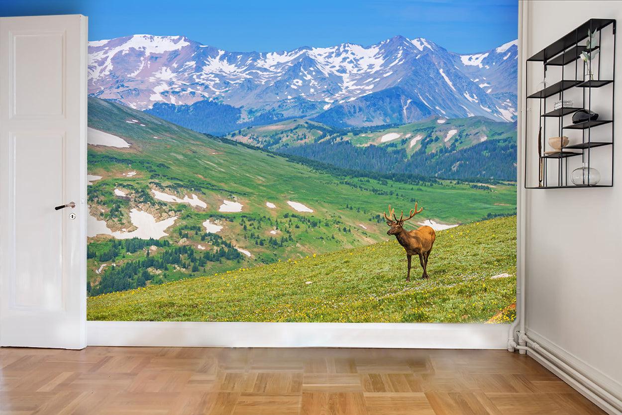 3D Snow Mountain Grassland Elk Wall Mural Wallpaper 34- Jess Art Decoration