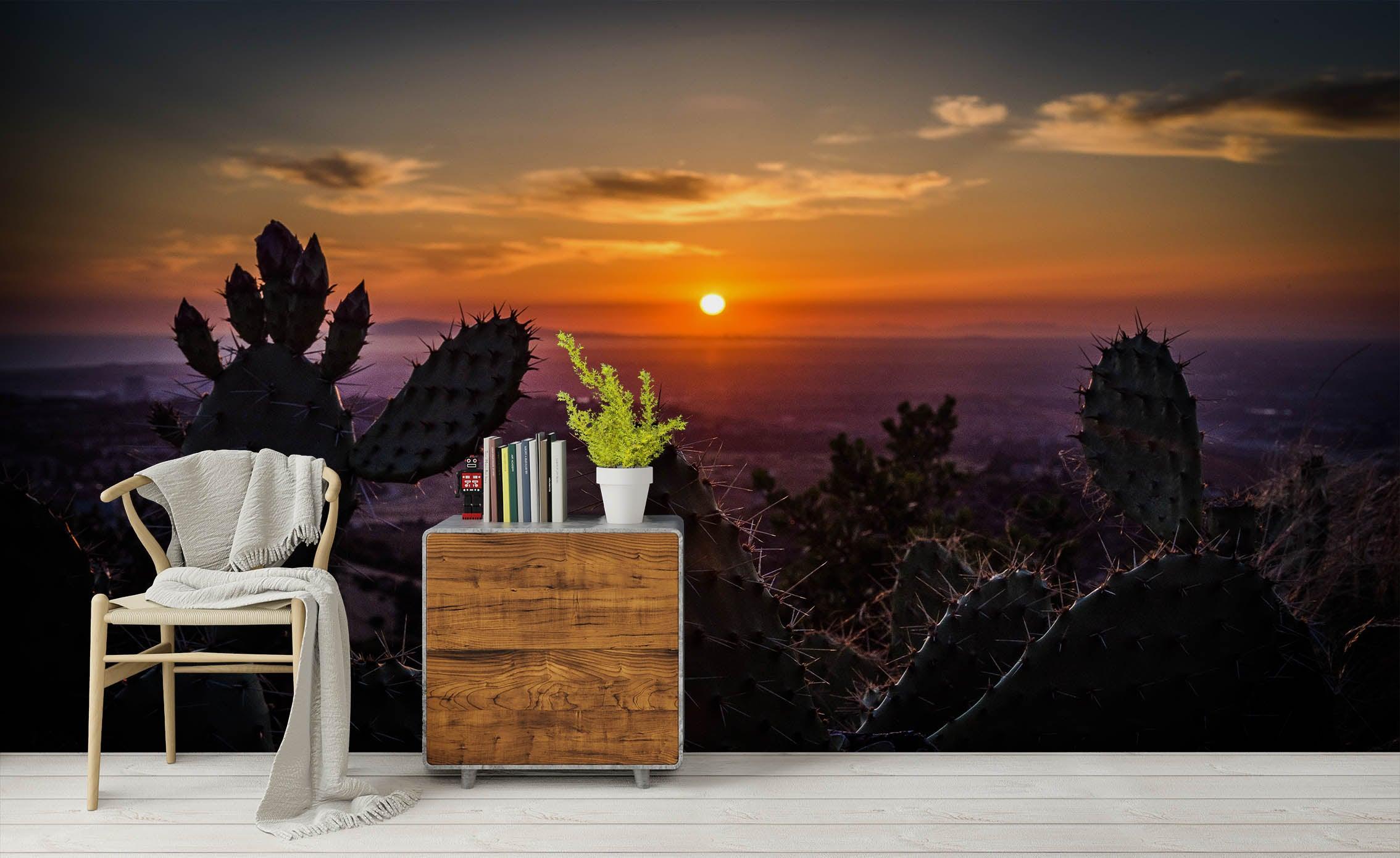 3D Cactus Sunrise Wall Mural Wallpaper SF81- Jess Art Decoration