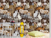 3D Cats Seamless  Wall Mural Wallpaper sww 90- Jess Art Decoration