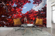 3D Red Maple Leaf Wall Mural Wallpaper SWW4369- Jess Art Decoration