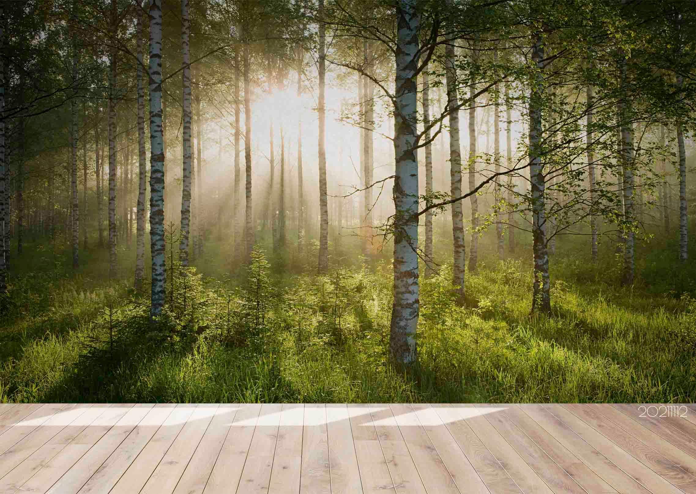 3D Sunshine Forest Nature Landscape Wall Mural Wallpaper LQH 8- Jess Art Decoration