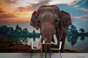 3D Tropics Elephant River Sunset Wall Mural Wallpaper SWW785- Jess Art Decoration