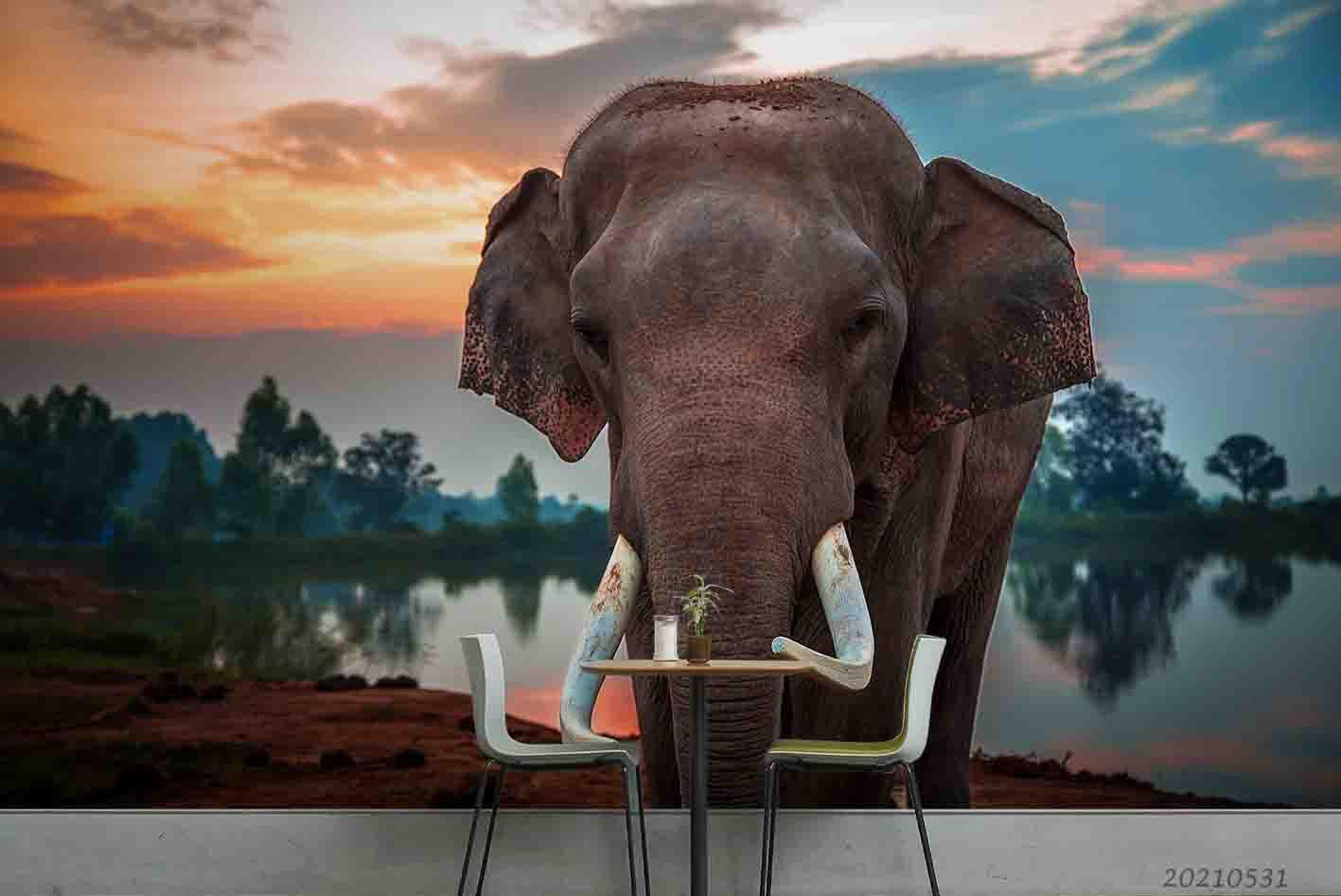 3D Tropics Elephant River Sunset Wall Mural Wallpaper SWW785- Jess Art Decoration