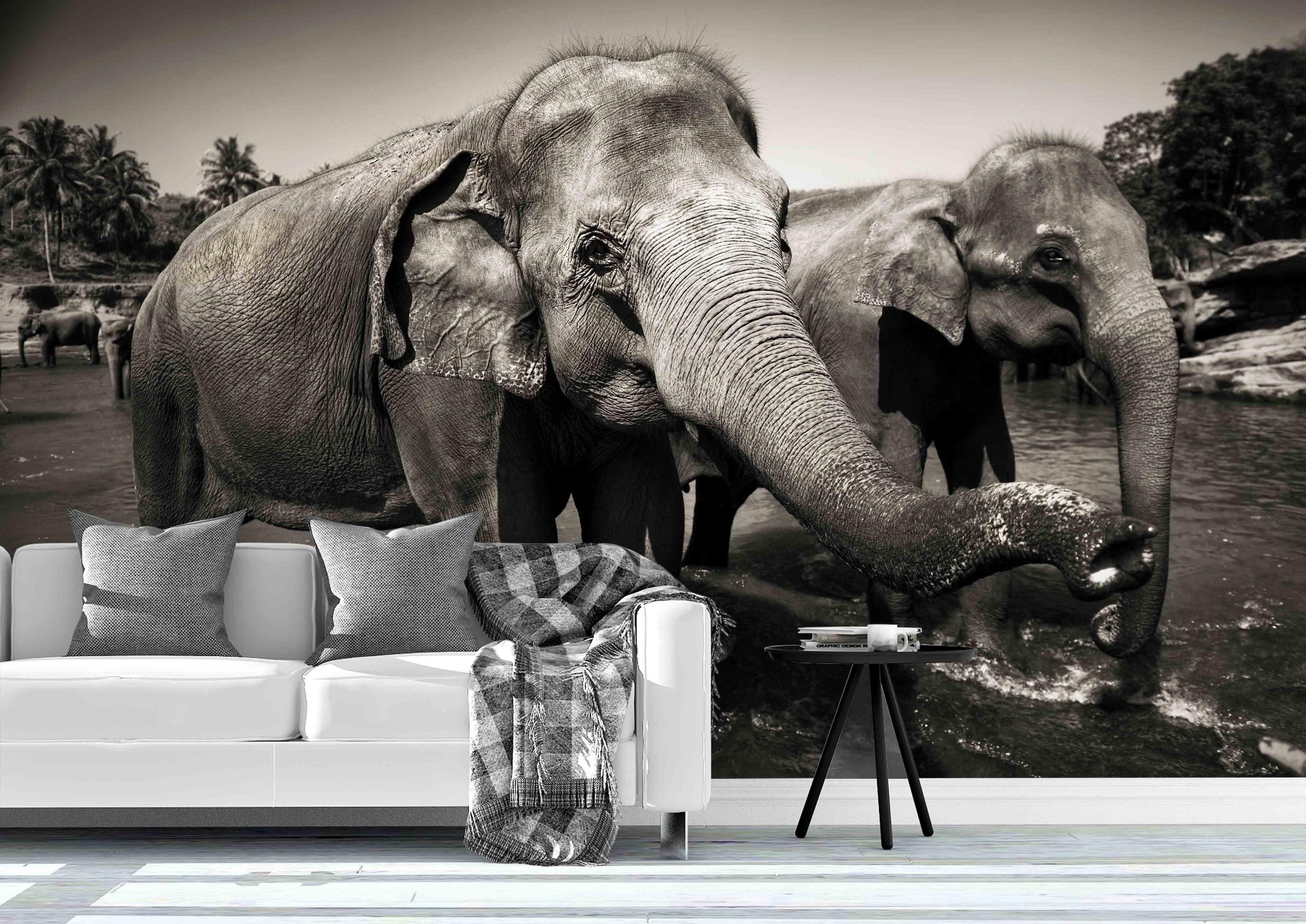 3D sri lankan elephants wall mural wallpaper 65- Jess Art Decoration