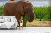3D Green Tree Forest Animal Elephant Wall Mural Wallpaper LQH 372- Jess Art Decoration