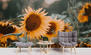 3D Sunflowers Wall Mural Wallpaper SF25- Jess Art Decoration