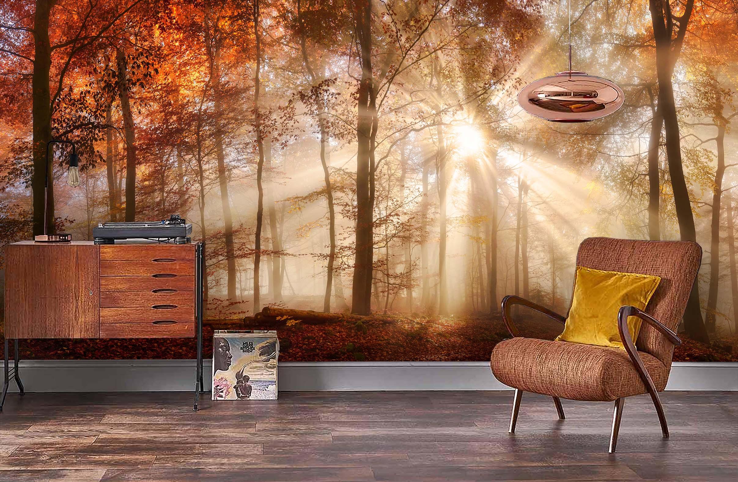3D Forest Sunshine Wall Mural Wallpaper 61- Jess Art Decoration