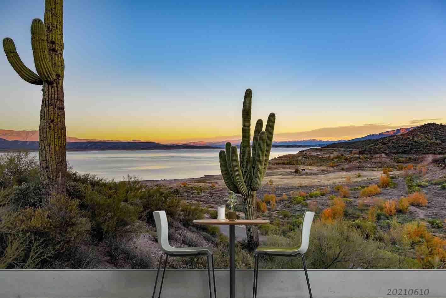 3D Desert Lakes Cactus Blue Sky  Setting Sun Wall Mural Wallpaper SWW1879- Jess Art Decoration