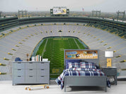 3D Lambeau Field USA Wall Mural Wallpaper GD 1455- Jess Art Decoration