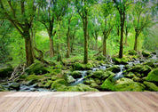 3D Summer Forest Stream Wall Mural Wallpaper SWW5144- Jess Art Decoration