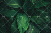 3D Hand Painted Green Leaves Wall Mural Wallpaper 60- Jess Art Decoration