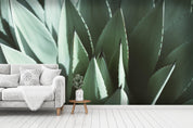 3D aloe succulents wall mural wallpaper 23- Jess Art Decoration