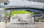 3D St. James Park Stadium Wall Mural Wallpaper GD 215- Jess Art Decoration
