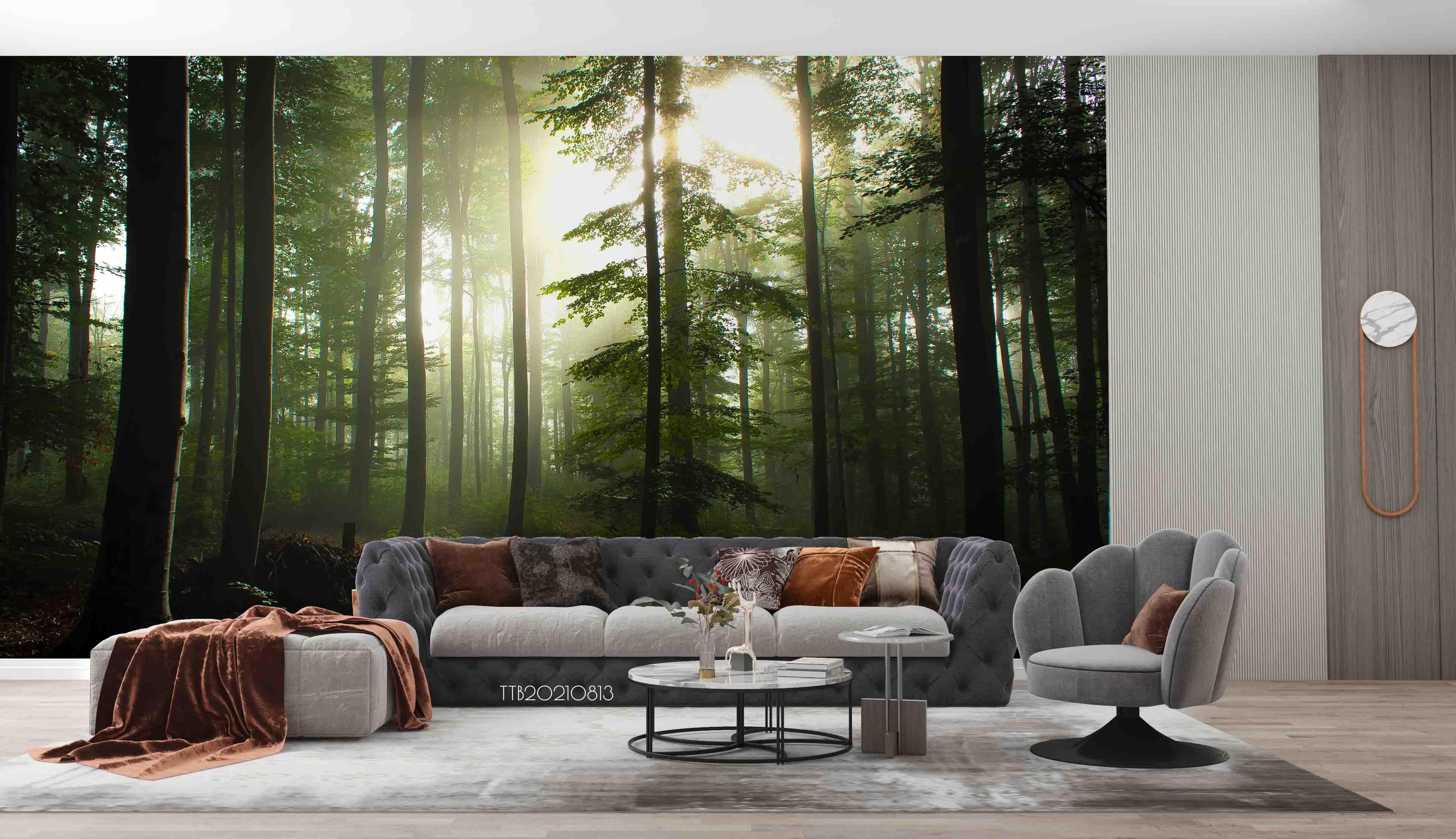 3D Pine Forest Sunshine Wall Mural WallpaperSWW5148- Jess Art Decoration