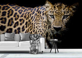 3D Leopard Graphic Wall Mural Wallpaper 55- Jess Art Decoration