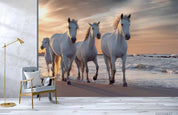 3D Sunset Sky Beach Horse White Wall Mural Wallpaper LQH 270- Jess Art Decoration