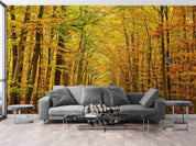 3D Golden Autumn Forest golden autumn forest path wall mural wallpaper for living room - view 3